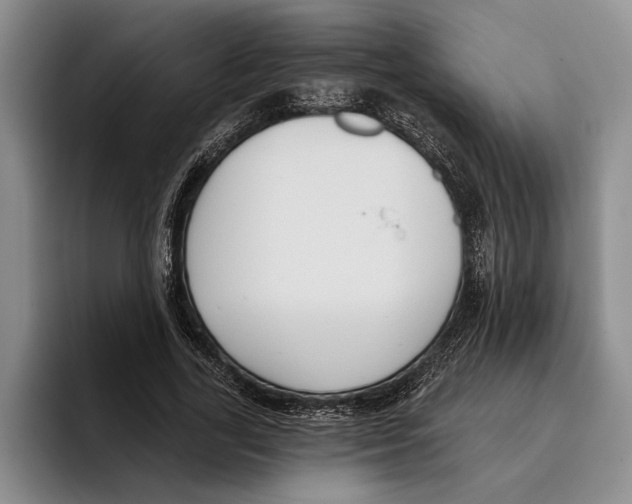 X0000096210731200802151501