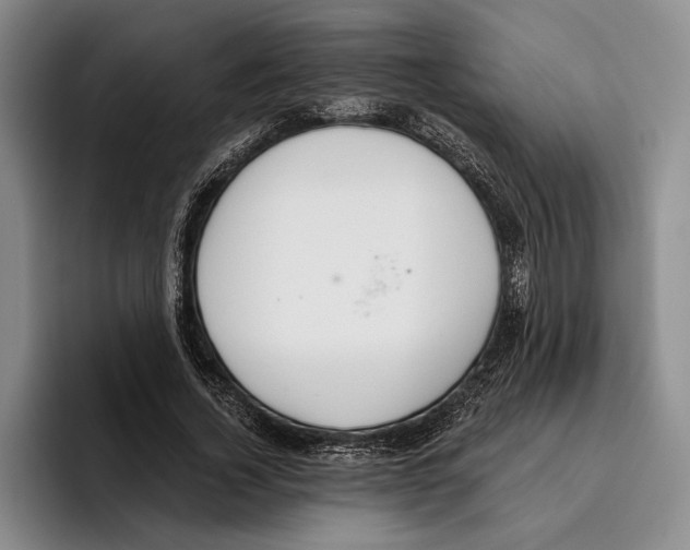 X0000096210732200802151501