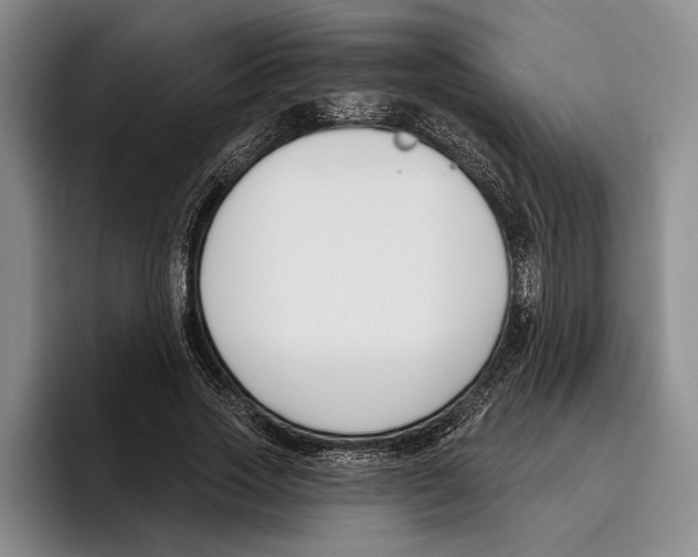 X0000096210733200802151501