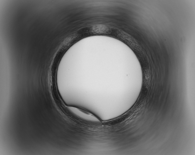 X0000096210734200802151501