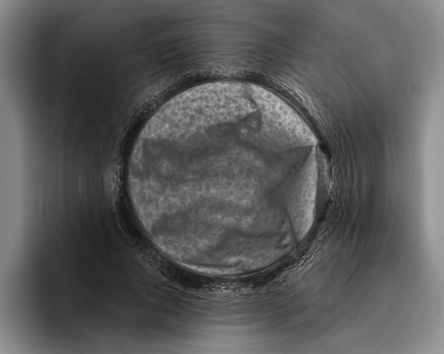 X0000096210736200802151501