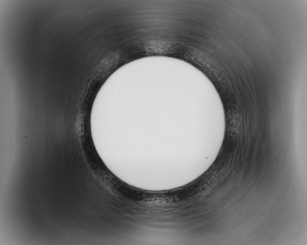 X0000096210738200802151501