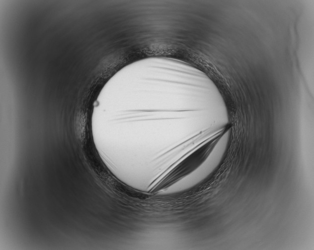 X0000096210742200802151501