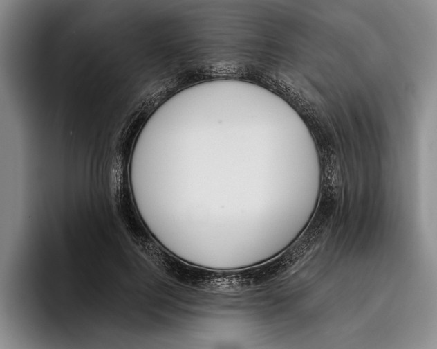 X0000096210744200802151501