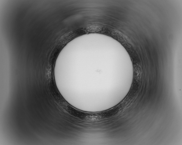 X0000096210745200802151501