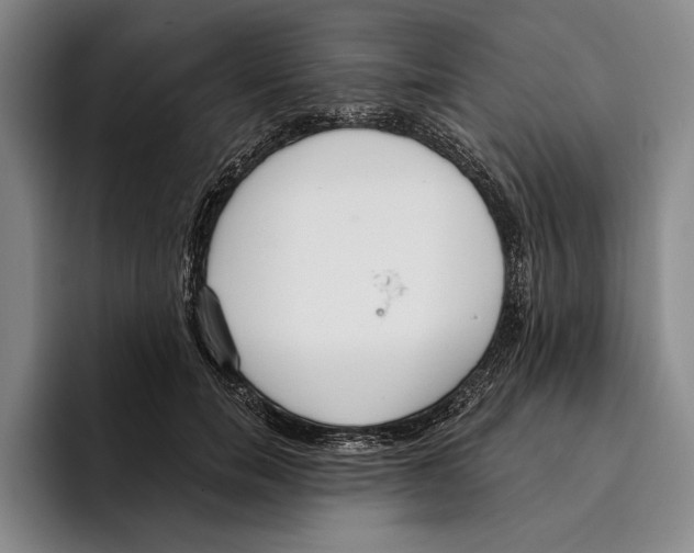 X0000096210750200802151501