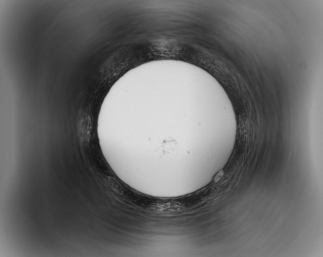 X0000096210752200802151501