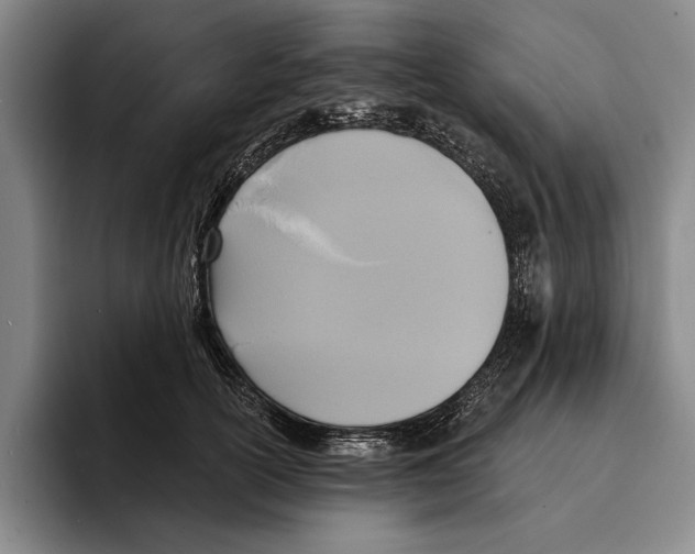 X0000096210754200802151501