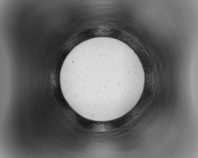 X0000096210755200802151501