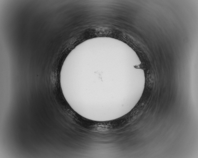 X0000096210756200802151501