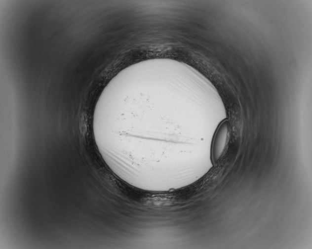 X0000096210758200802151501