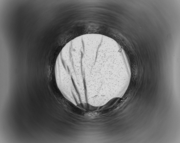 X0000096210759200802151502