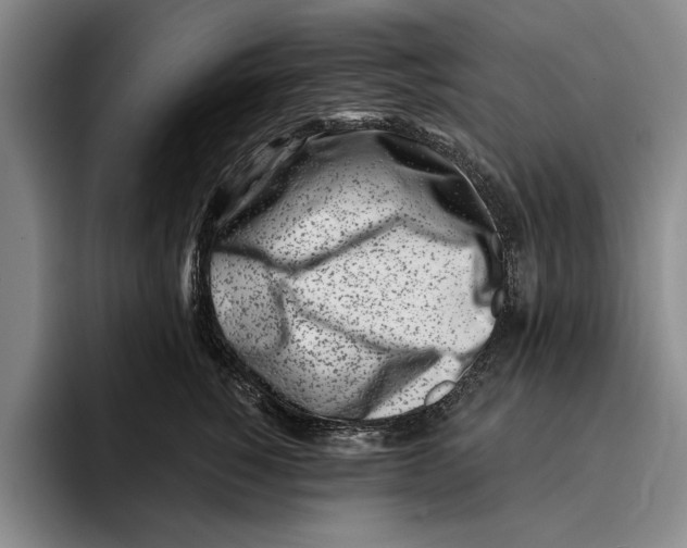 X0000096210760200802151502