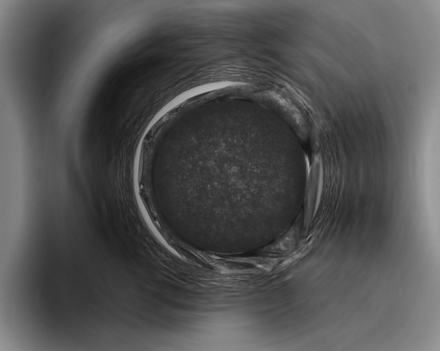 X0000096210762200802151502