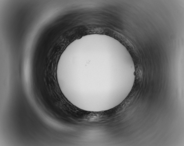X0000096210764200802151502