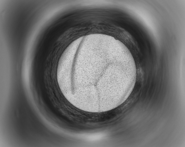 X0000096210765200802151502