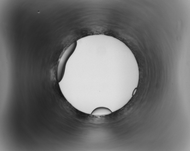 X0000096210768200802151502