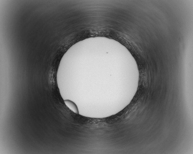 X0000096210770200802151501