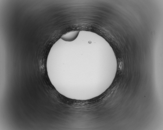 X0000096210771200802151501