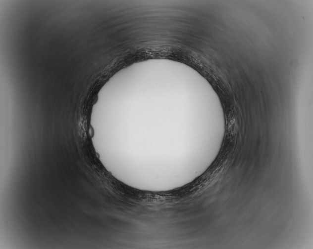 X0000096210772200802151501