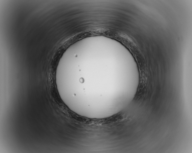 X0000096210773200802151501