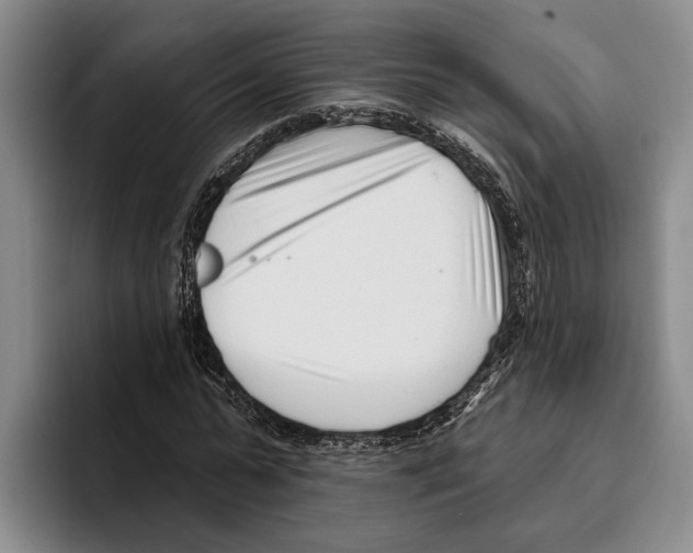 X0000096210775200802151501