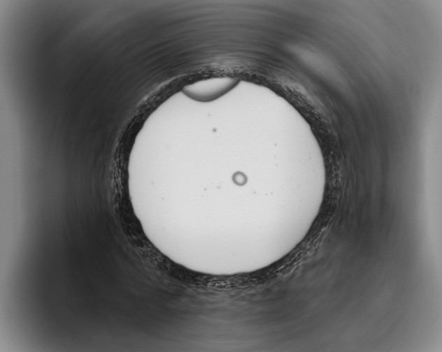 X0000096210776200802151501