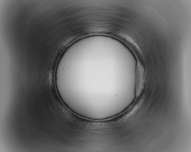 X0000096210777200802151501