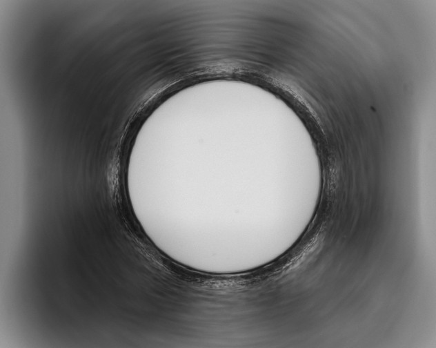 X0000096210778200802151501