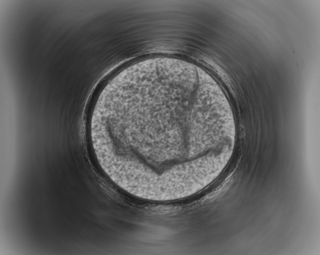 X0000096210779200802151501