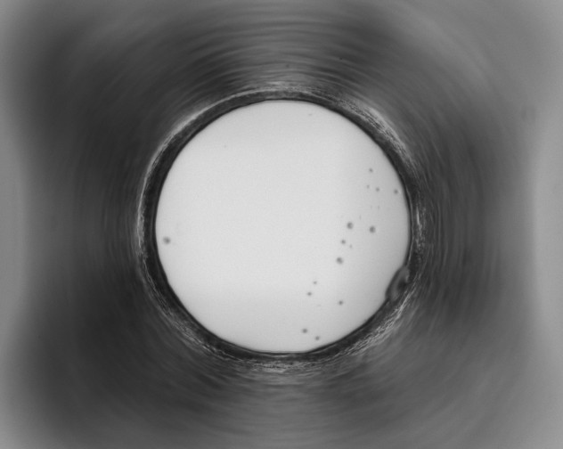 X0000096210780200802151501