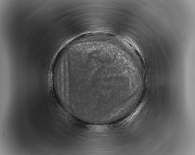 X0000096210781200802151501