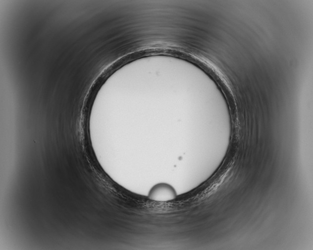 X0000096210783200802151501