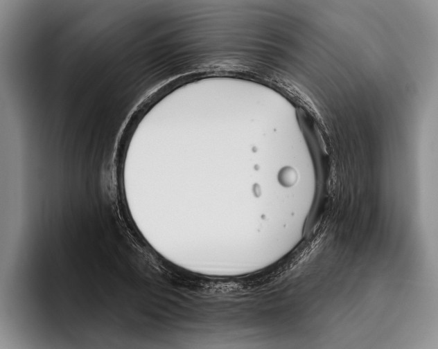 X0000096210784200802151501