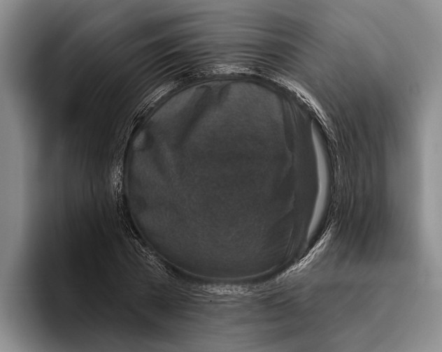 X0000096210785200802151501