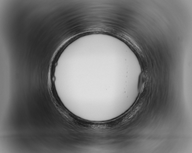 X0000096210788200802151501