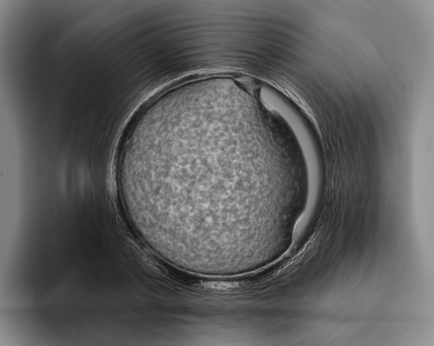X0000096210789200802151501