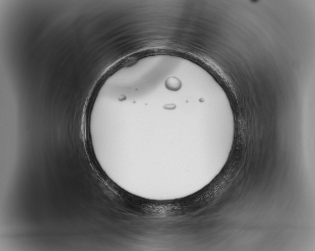 X0000096210791200802151501