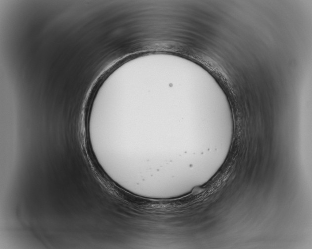 X0000096210792200802151501