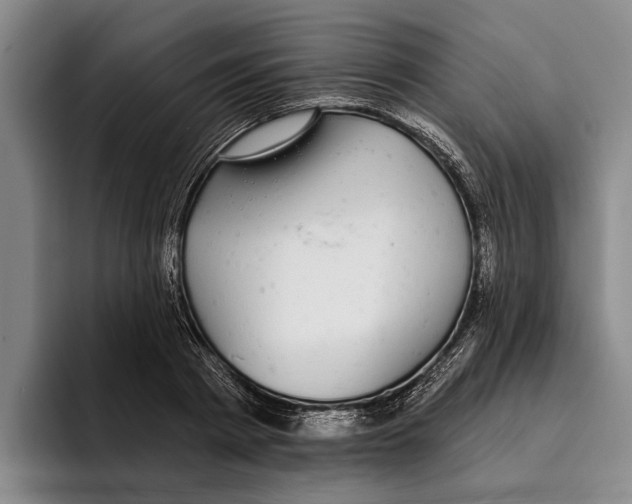 X0000096210793200802151501