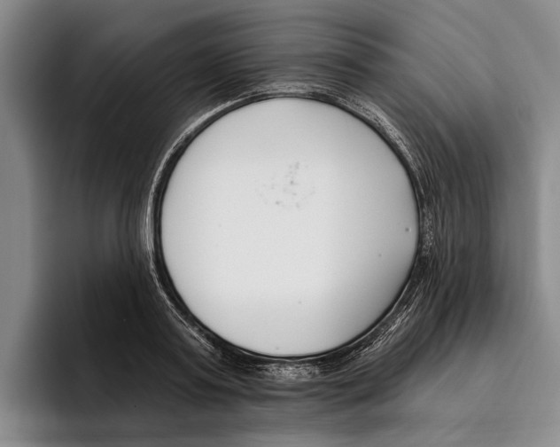 X0000096210795200802151501