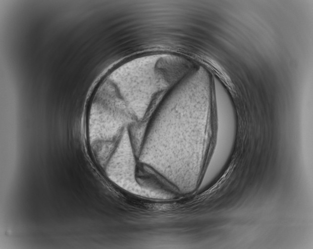 X0000096210796200802151501