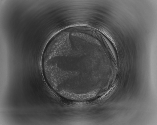 X0000096210797200802151501