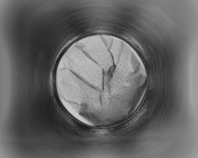 X0000096210798200802151501