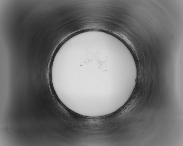 X0000096210799200802151501