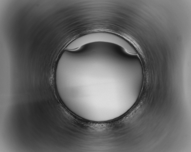 X0000096210801200802151501