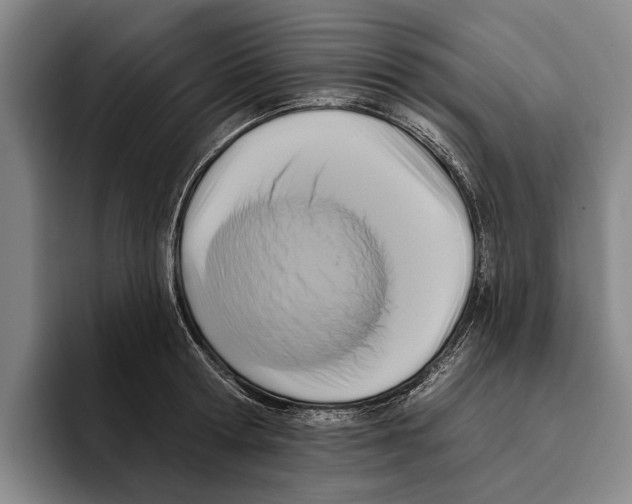 X0000096210802200802151501