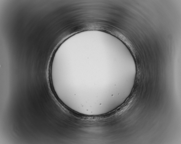 X0000096210803200802151501