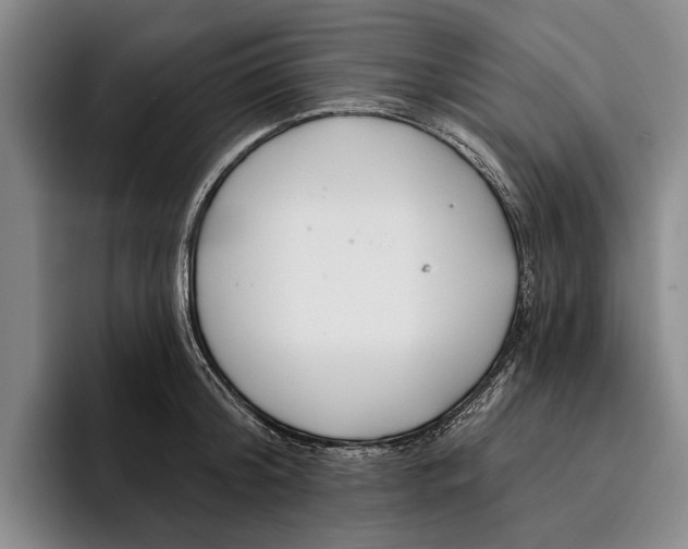 X0000096210804200802151501