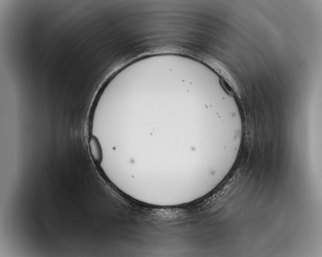 X0000096210805200802151501